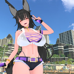 VRchat (PC only)