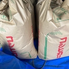 東広島　新米　コシヒカリ　30kg   農家自家消費米　