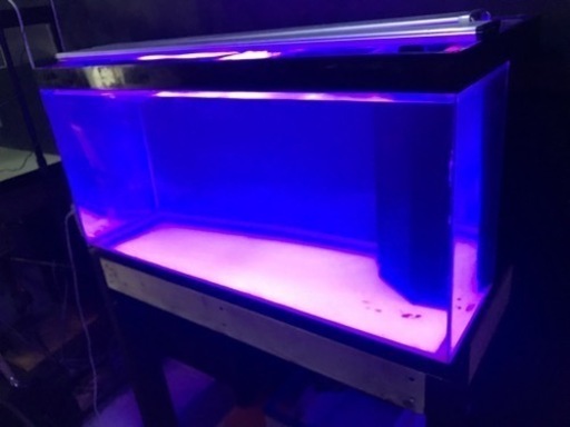 取り置きはしません‼️大型水槽‼️‼️ 900×450×450水槽セット‼️