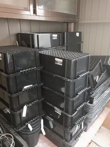 メダカ　飼育用品一式