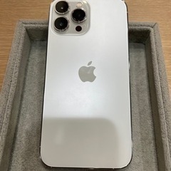 iPhone13proMAX/256GB