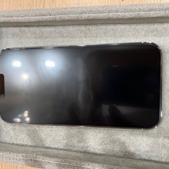 iPhone13proMAX/256GB