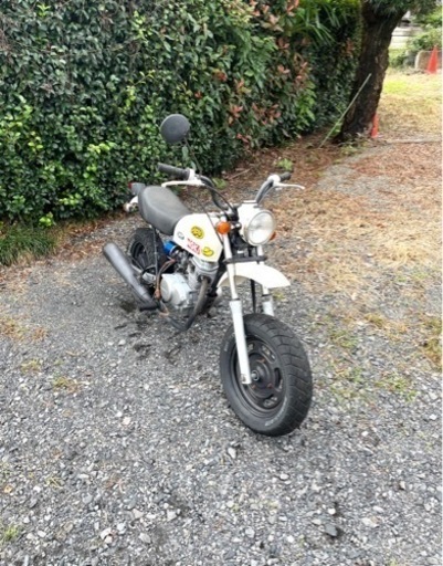 405. 動画あり ホンダ エイプ50 原付 バイク 50cc 車体 【公式通販】 405. 動画あり ホンダ エイプ50 原付 バイク 50cc 車体 【公式通販】