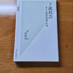 下流社会　光文社新書