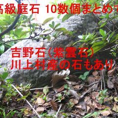 格安で運搬可能 下見OK 奈良県の旧家より出品◆高級 景石 庭石...