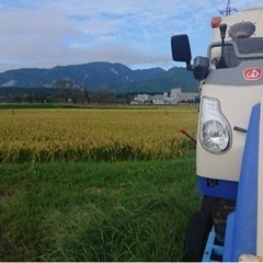 値下げ中！採れたて！キヌヒカリ！１俵（60kg）令和４年　新米（玄米） 値下げ中！採れたて！キヌヒカリ！1俵（60kg）令和4年 新米（玄米）