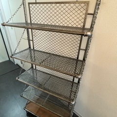取引中 アルビノシルバーアロワナ、バラマンディ 水槽セット売り