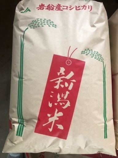 令和4年度 岩船産コシヒカリ 玄米 30キロ 令和4年度 岩船産コシヒカリ 玄米 30キロ