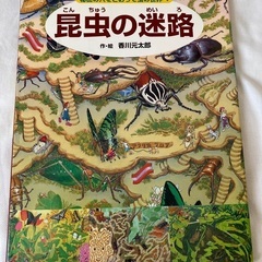 受け渡し決定　昆虫の迷路