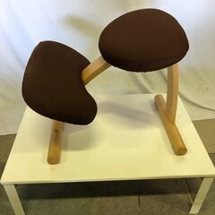  SAKAMOTO HOUSE サカモトハウス バランスチェア イージー Balans EASY 姿勢矯正