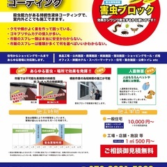 大好評！先着20件限定無料施工！！残り7件です！　蜘蛛の巣…