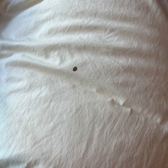 羽毛布団 定価172700円