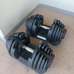 可変式ダンベル40kg✕2＆フラットベンチ-キン肉マン