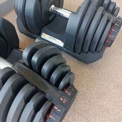 可変式ダンベル40kg✕2＆フラットベンチ-キン肉マン