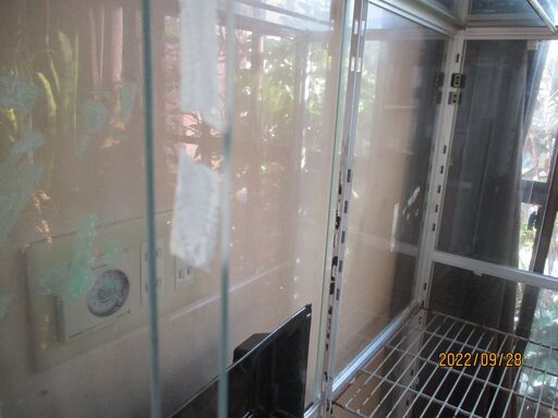 引き取り限定　ガラス温室　爬虫類飼育など
