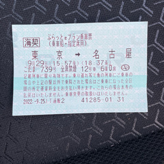 新幹線こだま　東京ー名古屋チケット
