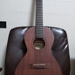 ARIA　ミニアコースティックギター　ASA-18N