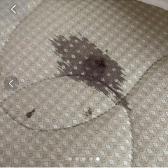 セミダブルベッド　TOKYO interior 美品