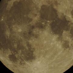 Nikon　COOLPIX P1000