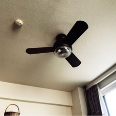 MEHVE(メーヴェ) シーリングライト ファン付き