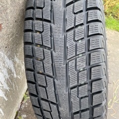 GEOLANDSR 225/60/R17 ecoforme