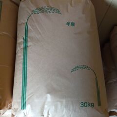安くしました　美味しい 令和4年栃木県産コシヒカリ(玄米)30㎏