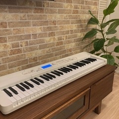 CASIO LK-520  電子ピアノ