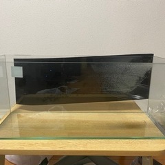 60cm アクアリウム用ガラス水槽