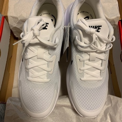 Dunk Low Ostrich Pack Myth オーストリッチ 2010年 レア 26.5-27.0cm