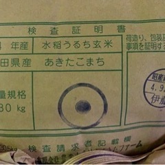 新米　あきたこまち　令和4年産　潟上市岡井戸産