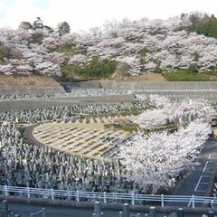 墓地お譲りします - 土地販売/土地売買