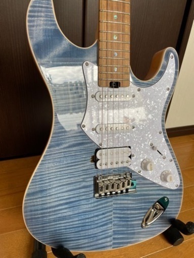 限定カラー& Mighty Plug付き】 Aria Pro II 714-AE200