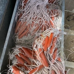 投網セットと、鉛投網作るセット系、投網はかなりあります、