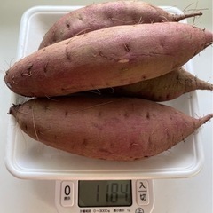 サツマイモ　新物(ベニハルカ等) 1kg