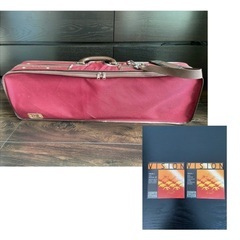 バイオリン Erich Werner 1996 弓/弦/肩当て/ハードケース付