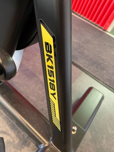 値下げしました！【群馬県内無料配送します】スピンバイク アルインコ