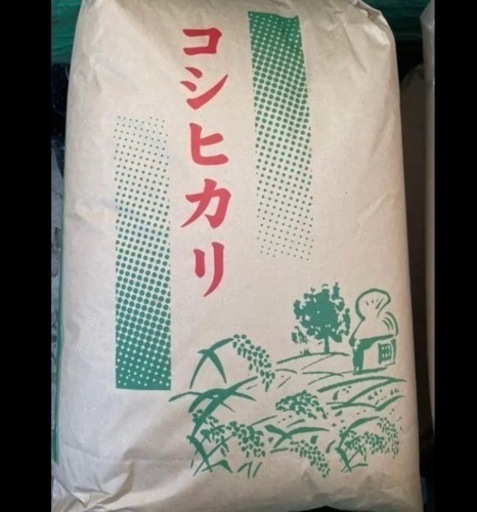 残り1袋❗️新米❗️令和4年収穫こしひかり30kg