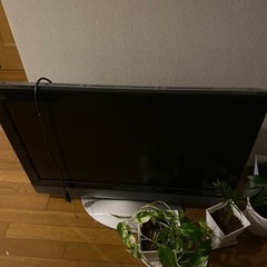 テレビ　ジャンク