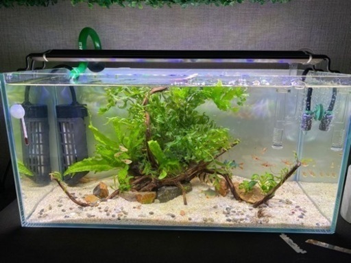水槽セット