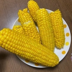 野菜🌽