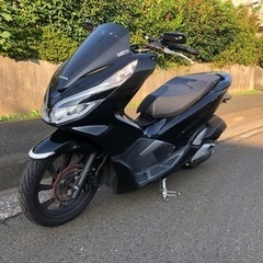 【ネット決済】PCX jf81 自賠責保険付き　都筑区