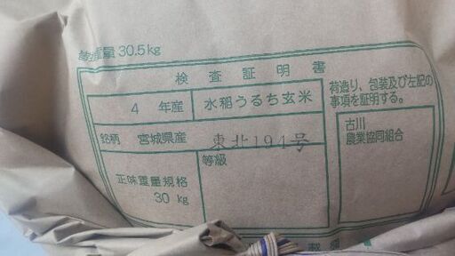 新米令和4年産ササ結 玄米30Kg
