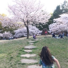 長居公園でピクニック/ 畑でお茶(奈良)の画像