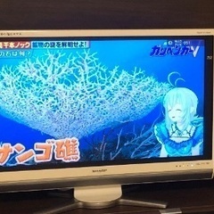 【ネット決済】TOSHIBA世界の亀山テレビ　37