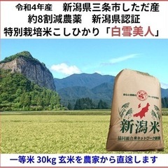 【ネット決済・配送可】コシヒカリ玄米30kg 令和4年産　新潟県...