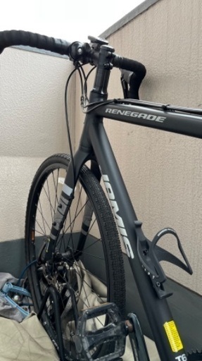 251.ブリヂストンCALISIA22インチ