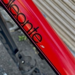 取引中】Bianchi クロスバイク レアカラー