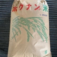 令和3年香川県産コシヒカリ　玄米30kg