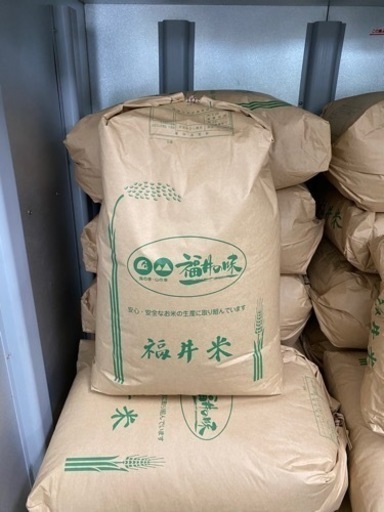 新米コシヒカリ　令和4年産　30kg