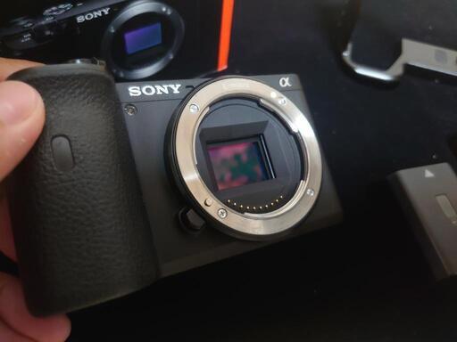 【早い者勝ち‼️】SONY(ソニー) α6600ボディ ソニーストア保証付き